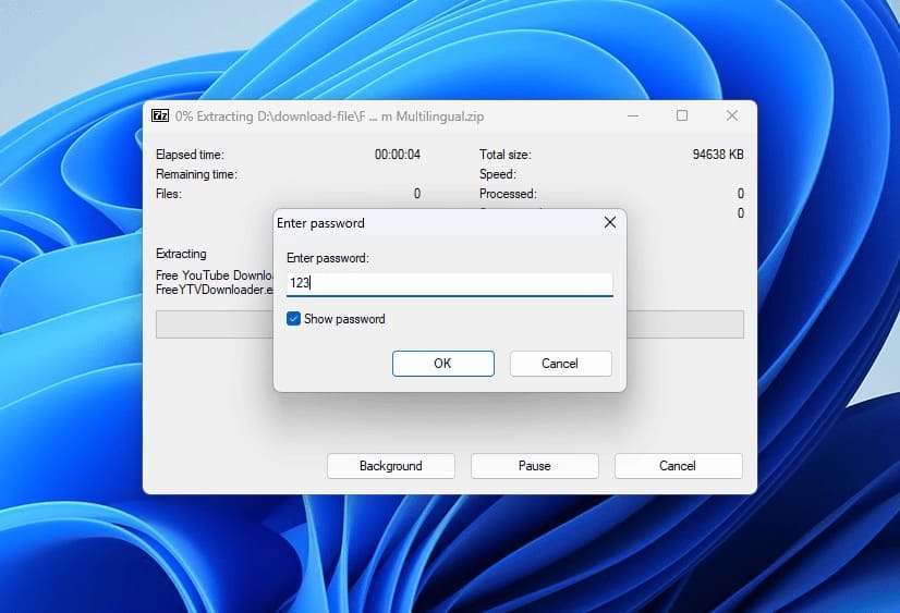 the file password is 123